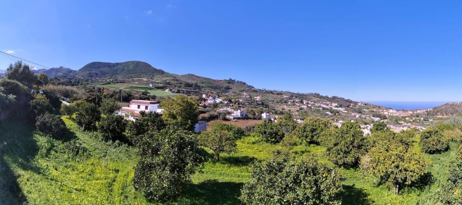 La Casa De Teror